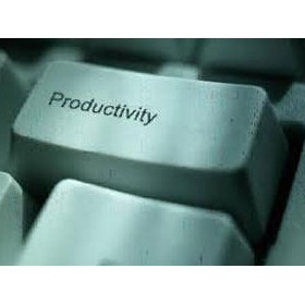 Productivity: BCS-CA!-2,BCS-CA1-3,BCS-CA1-4,BCs-CA1-5,&BCS-CA1-6